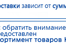Пояс электрод купить в Протвино, Выносные электроды купить в Протвино, Дэнас официальный сайт denasolm.ru